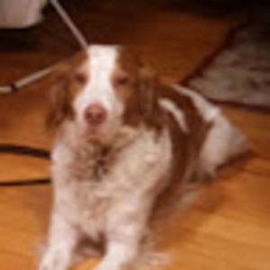 Meet your Posher, Elliott